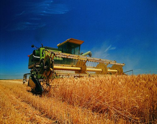 Michigan’s Growers, Landscapers Review Polar Vortex’s Impact