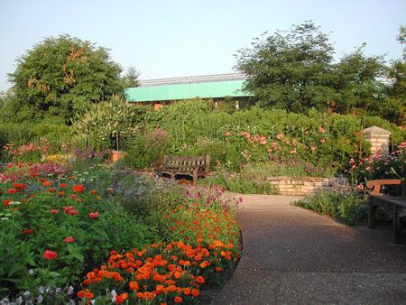 Ann Arbor Professor and Landscape Expert Receives National Garden Club Honor