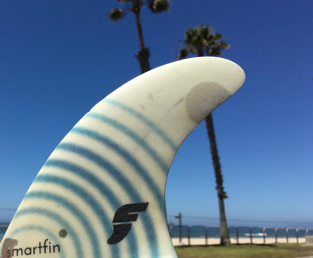 Helping Monitor Ocean’s Health While Having Fun