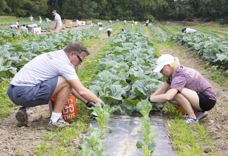 Mercedes-Benz Financial Services get out of the office and into community volunteering