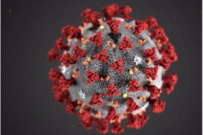 Coronavirus: Schools, governments reacting quickly to contain impact