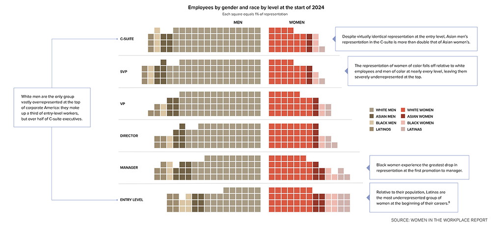 Graph showing "Employees by gender and race by level at the start of 2024"