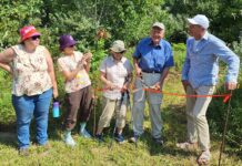 Wilderness Retreat Opens in Clinton County With Conservancy Donation
